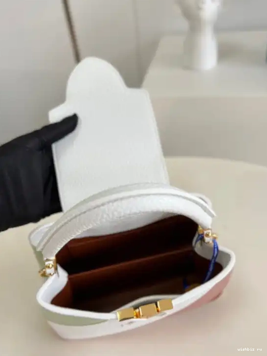 WIS VUITTON LOUIS CAPUCINES MINI 0326